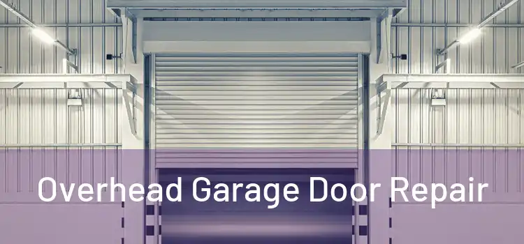  Overhead Garage Door Repair 